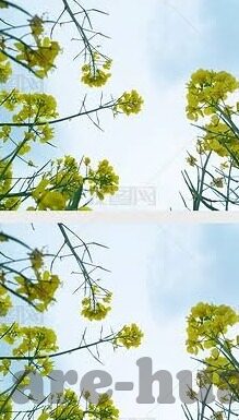 酷游九州娱乐微博-酷游九州娱乐微博——娱乐的新潮流，互动的新平台