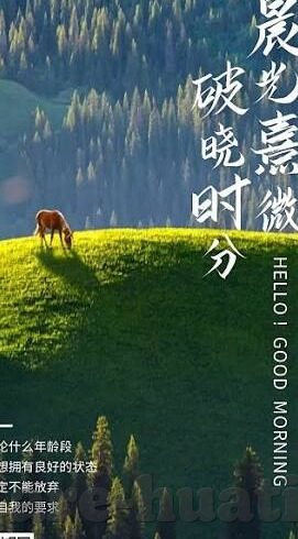 利物浦与曼联足球比分-英超双红会，利物浦与曼联的世纪对决，比分背后的战术博弈与情感碰撞